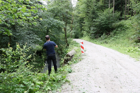 Neurje_Občina Kamnik (2)